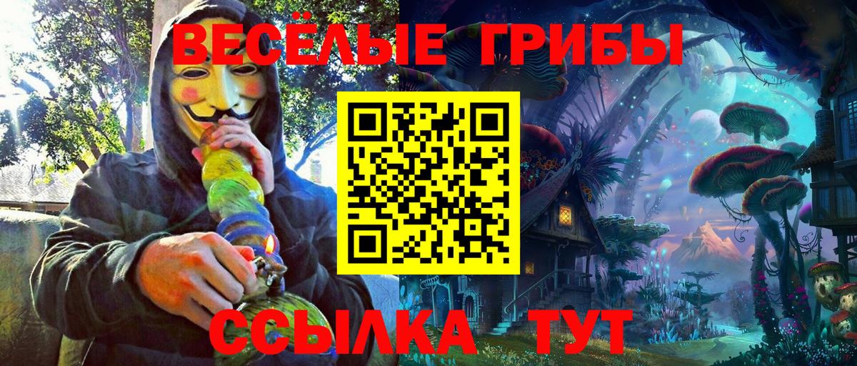 Ишим  Галлюциногенные грибы Psilocybe  Вход с VPN  купить наркотик  Галлюциногенные грибы Magic Shrooms 