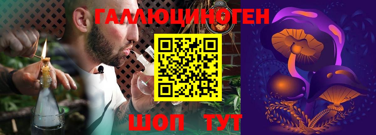 Псилоцибиновые грибы GOLDEN TEACHER Ишим